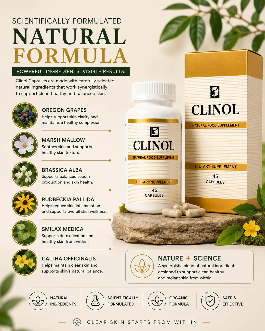 Natural ingredients for skin wellness support