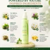 Derma Care Anti Wrinkle Lotion Ingredients Anti Wrinkle Lotion ingredients with Vitamin E tea tree oil green tea fennel comfrey and chamomile